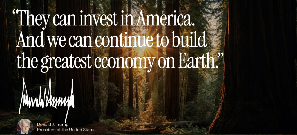 img-01-free-img screenshot 2026 01 25 at 09.27.21